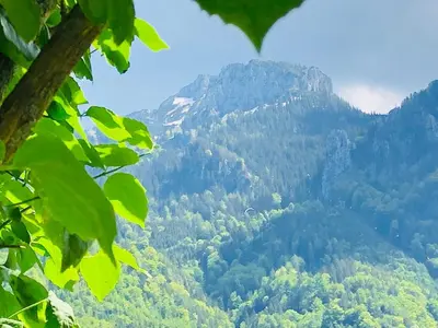 Naturlandschaft in der Nähe der Ferienwohnung