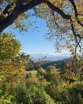 Naturlandschaft in der Nähe der Ferienwohnung