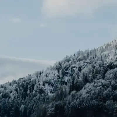 Franzl's Bergnest