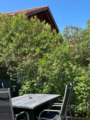 Ein Garten an der Unterkunft Charmantes Dorf-Apartment