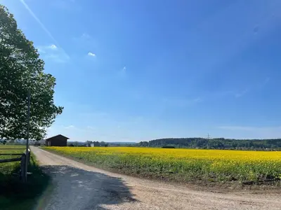 Naturlandschaft in der Nähe der Ferienwohnung