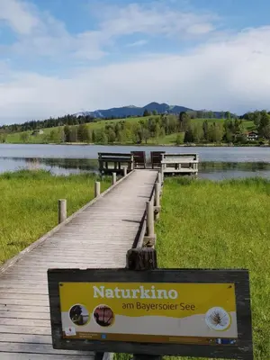 Naturlandschaft in der Nähe der Ferienwohnung