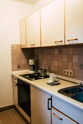 Küche/Küchenzeile in der Unterkunft Aparthotel Terrassenhof