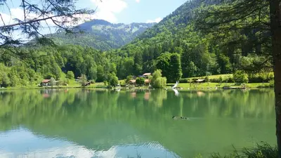 Naturlandschaft in der Nähe der Ferienwohnung