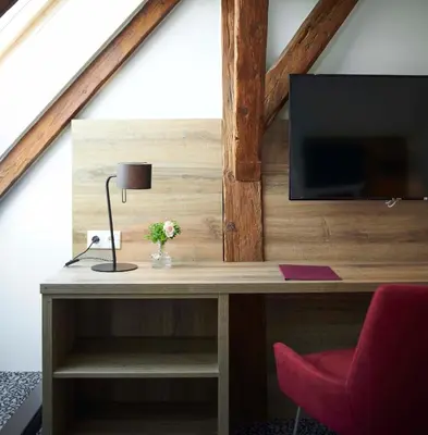 TV/Unterhaltungsangebot in der Unterkunft Gasthaus Alter Wirt