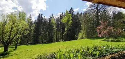 Ein Garten an der Unterkunft Suite Nuss - Chalet Bergerhöh