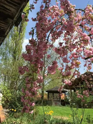 Ein Garten an der Unterkunft Suite Linde - Chalet Bergerhöh