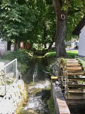 Ein Garten an der Unterkunft Gemütliches, helles, voll ausgestattetes Apartment mit Terrasse