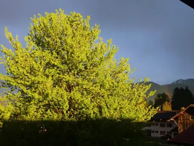 Ein allgemeiner Bergblick oder ein Berglick von der Ferienwohnung aus