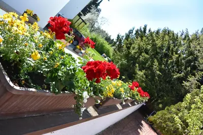 Ein Garten an der Unterkunft Ferienwohnungen Kurhotel Eichinger