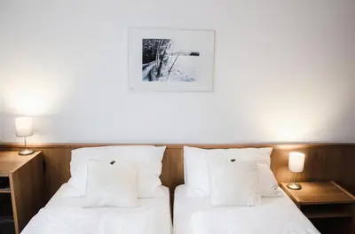 Ein Bett oder Betten in einem Zimmer der Unterkunft Hotel Blaue Traube