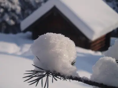 Ferienhaus Bergfreund im Winter