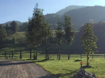 Naturlandschaft in der Nähe der Ferienwohnung