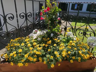 Ein Garten an der Unterkunft FeWo Steckenbergblick/Gästecard