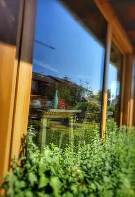 Ein Garten an der Unterkunft Pension Maria