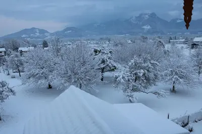 Pension Berghof im Winter