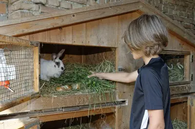 Tiere in der Ferienwohnung oder in der Nähe