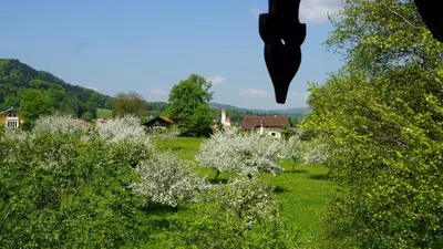 Naturlandschaft in der Nähe der Pension