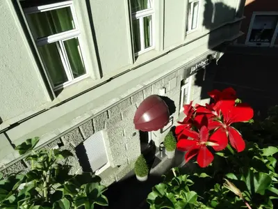 Ein Garten an der Unterkunft City Hostel