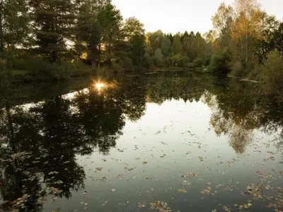 Naturlandschaft in der Nähe der Ferienwohnung