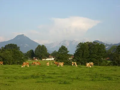 Naturlandschaft in der Nähe der Pension