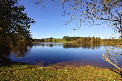 Naturlandschaft in der Nähe des Gasthauses