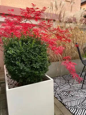 Ein Garten an der Unterkunft Como Design-Apartment close to Isar river area - centrally located