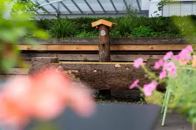 Ein Garten an der Unterkunft Cocoon Hauptbahnhof