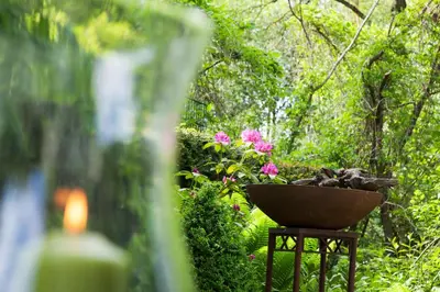 Ein Garten an der Unterkunft Hotel Villa Rosa