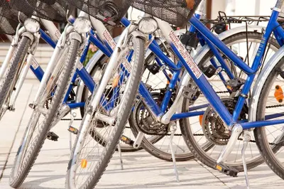Radfahren an der Unterkunft Chalét zum Kurfürst oder in der Nähe