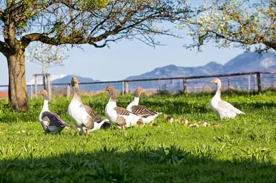 Naturlandschaft in der Nähe der Ferienwohnung