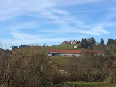Naturlandschaft in der Nähe der Ferienwohnung