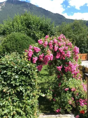 Ein allgemeiner Bergblick oder ein Berglick von der Ferienwohnung aus
