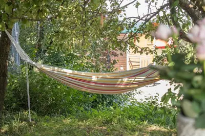 Ein Garten an der Unterkunft Auf'm Reifnhof