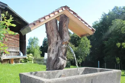 Ein Garten an der Unterkunft Pension Gerstenbrand