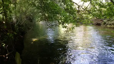 Naturlandschaft in der Nähe des Ferienhauses