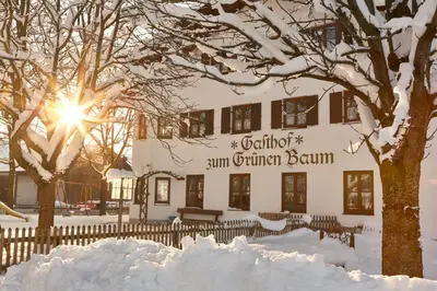 Landhotel Grüner Baum im Winter