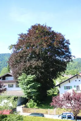 Naturlandschaft in der Nähe der Ferienwohnung
