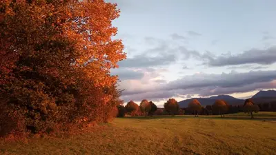 Naturlandschaft in der Nähe der Ferienwohnung