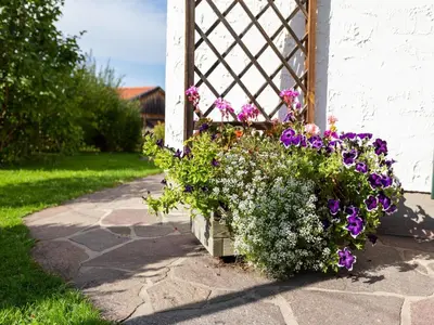 Ein Garten an der Unterkunft Alpenapartment mit Garten