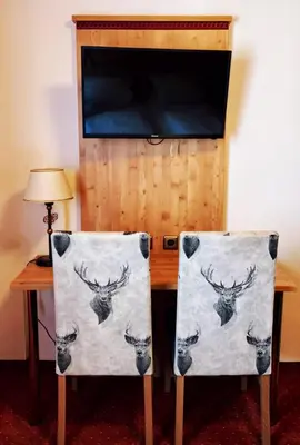 TV/Unterhaltungsangebot in der Unterkunft Hotel Paintner