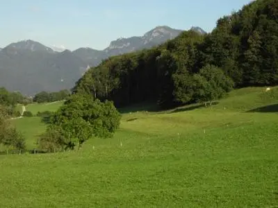 Naturlandschaft in der Nähe des Bauernhofs