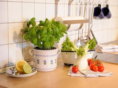 Essen in der Ferienwohnung oder in der Nähe