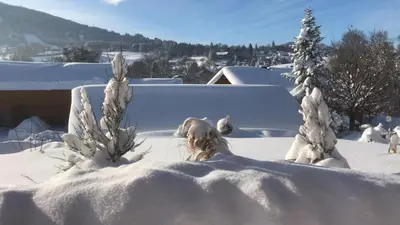 CaLegna Ferienchalet im Winter