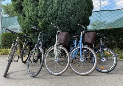 Radfahren an der Unterkunft Scheck Hotel oder in der Nähe
