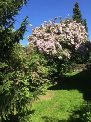 Ein Garten an der Unterkunft Appartement Am Goldbichl