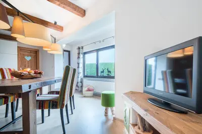 TV/Unterhaltungsangebot in der Unterkunft Zur Schönen Aussicht Hotel garni