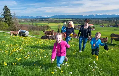 Naturlandschaft in der Nähe der Ferienwohnung
