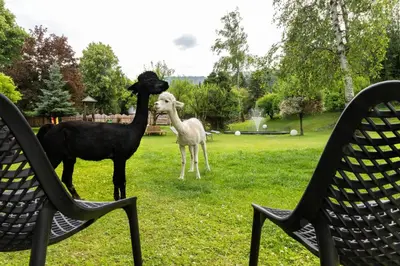 Tiere im Hotel oder in der Nähe