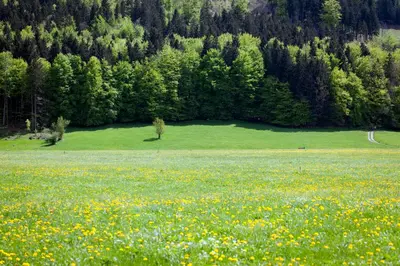 Naturlandschaft in der Nähe des Hotels